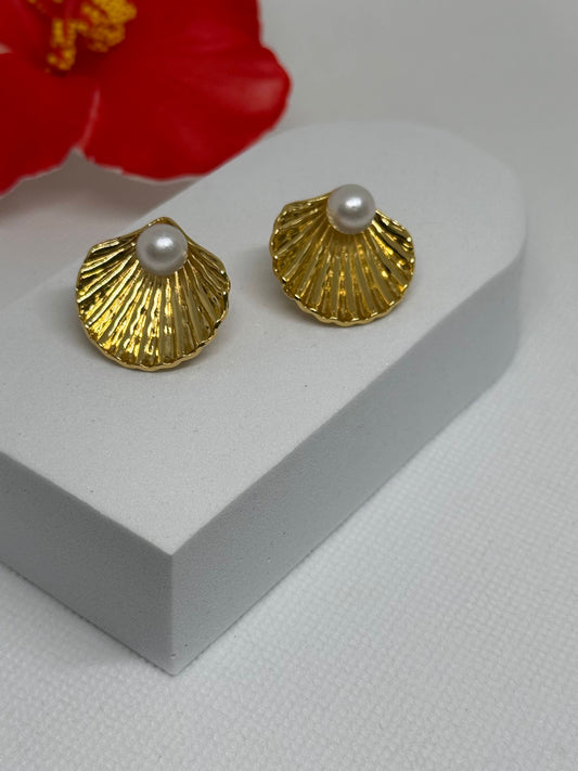 Boucles d’oreilles Coquillage Royal 👑🐚
