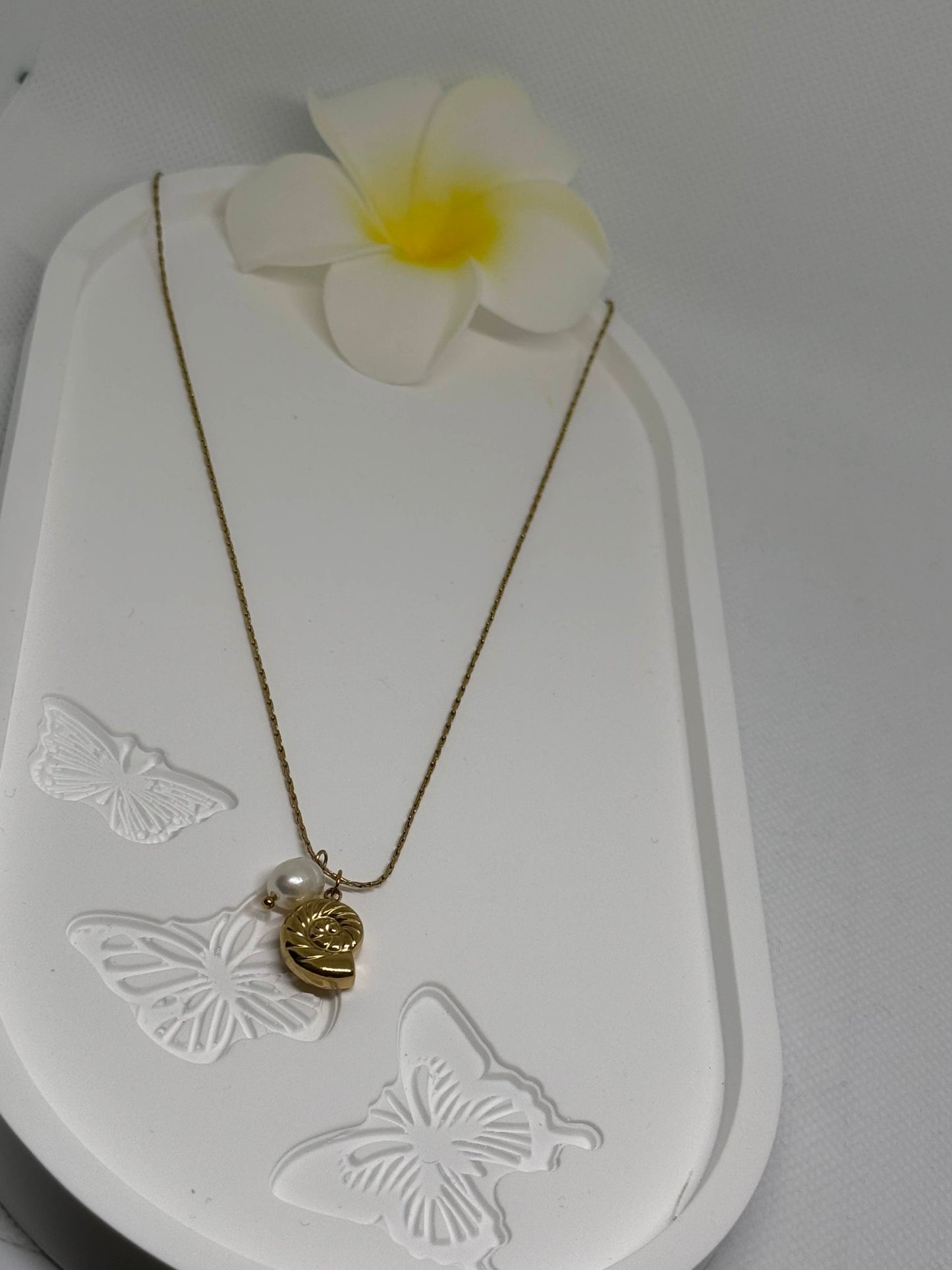 Collier Coquillage Précieux 🌊
