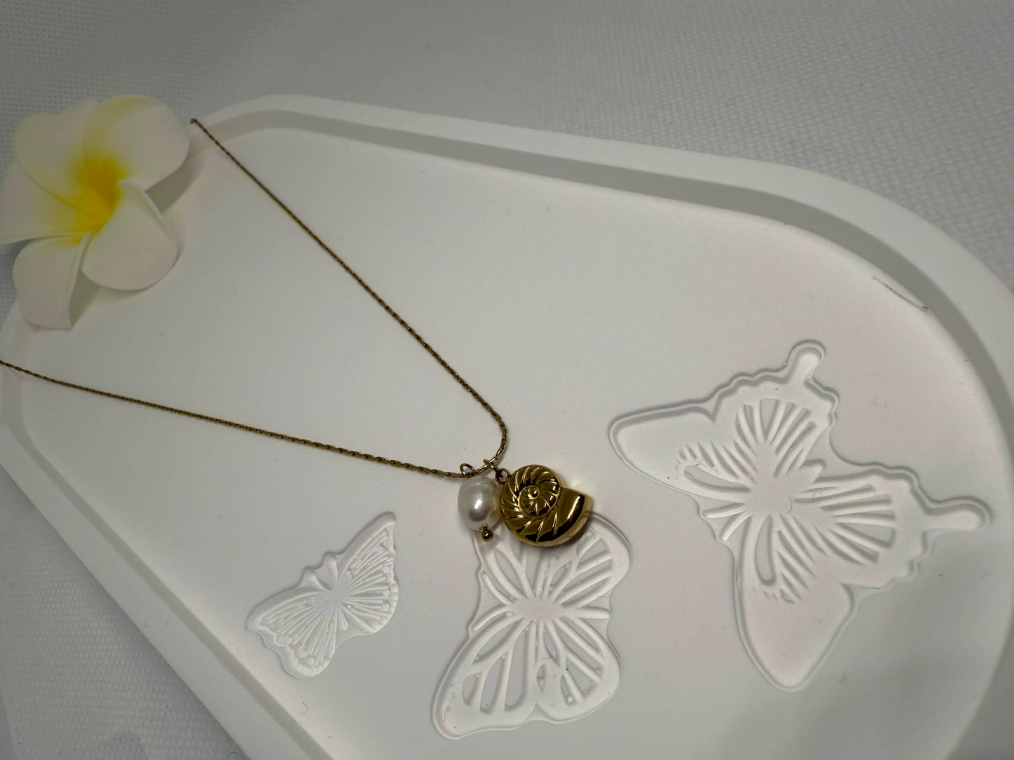 Collier Coquillage Précieux 🌊