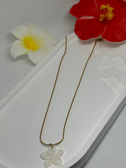 Collier Pureté Exotique