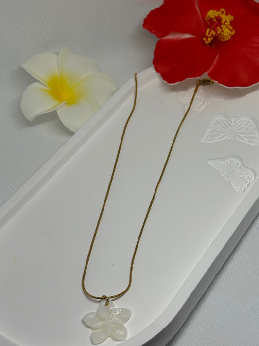 Collier Pureté Exotique