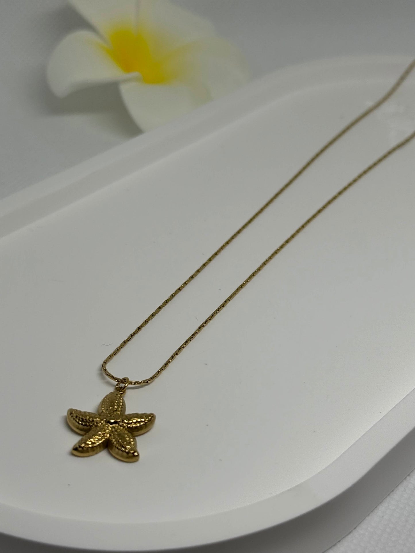 Collier Étoile Dorée ⭐