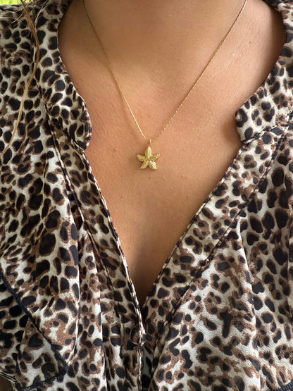 Collier Étoile Dorée ⭐
